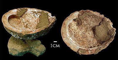 Pigment containers 100,000 years old found at Blombos cave, South Africa. These are the oldest ...