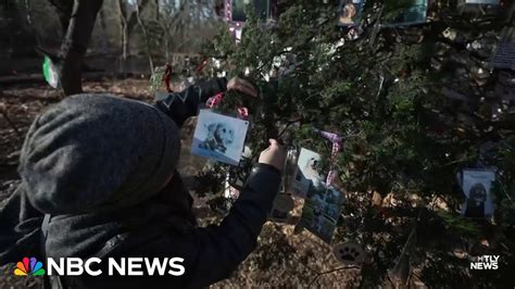 New Yorkers memorialize lost pets with special Central Park Christmas ...