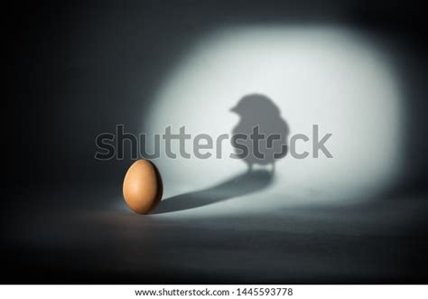 30 Chicken Egg Paradox Images, Stock Photos & Vectors | Shutterstock