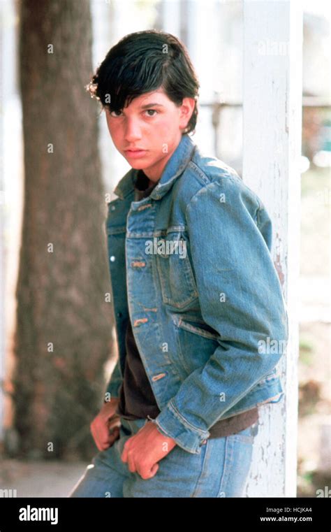 THE OUTSIDERS, Ralph Macchio, 1983, © Warner Brothers/courtesy Everett Collection Stock Photo ...