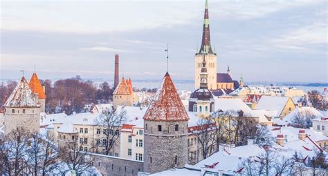 What three colors are on the flag of Estonia?