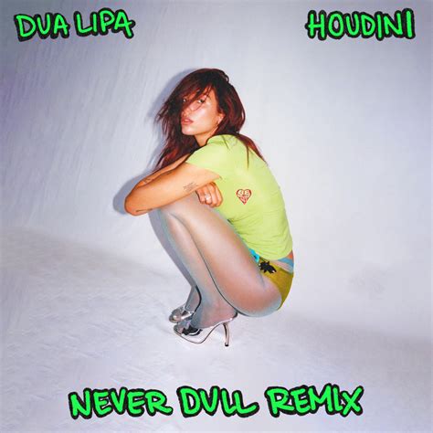 Dua Lipa - Houdini (Never Dull Remix) | Never Dull