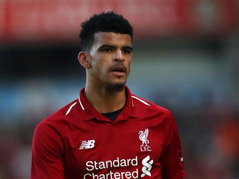 Dominic Solanke Joins Bournemouth from Liverpool in Permanent Transfer ...