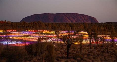 Field of Light Uluru has Australia's icon glowing with over 50,000 lights