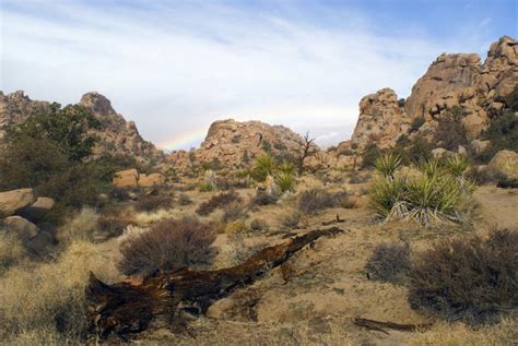 rocky desert color-4778 | Stockarch Free Stock Photo Archive