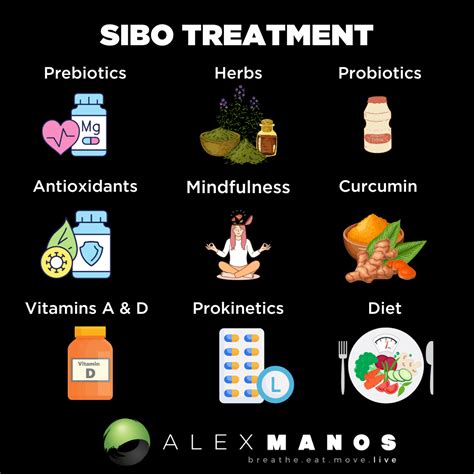 SIBO Treatment