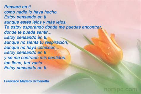 Imágenes con frases y poemas de amor : Pensando en ti