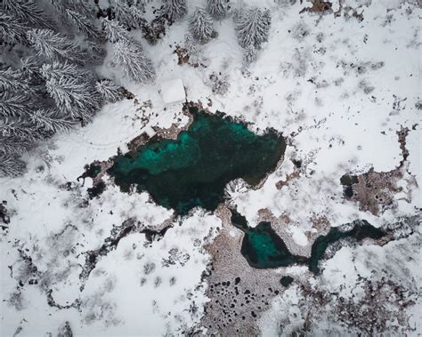 Photos: Zelenci Nature Reserve Covered In Snow In Winter - Travel Slovenia