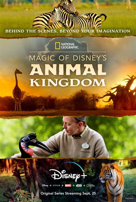 Disney+ to Release National Geographic Docu-Series "Magic of Disney's ...