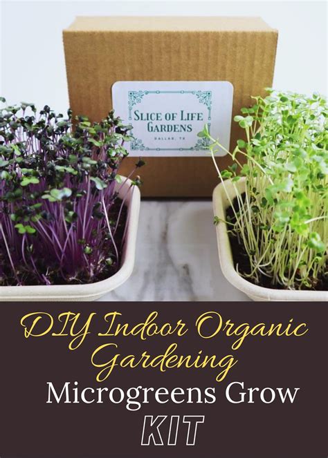 Microgreens Grow Kit - DIY Indoor Organic Gardening (Deluxe Set) | Grow kit, Organic gardening ...