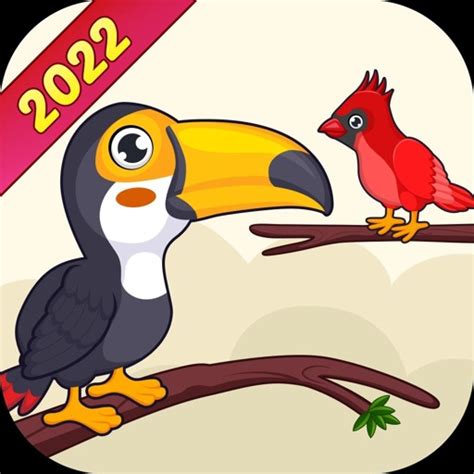 Bird Sort Puzzle Game by Savitaben Bhalodiya