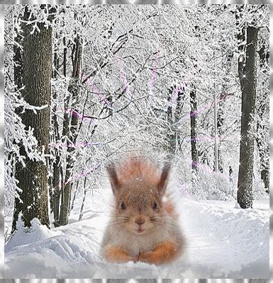 ♥ Red Squirrel (Squirrels) ♥ (Winter) ♥ Picture #119194971 | Blingee.com