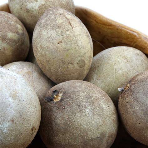 Sapodilla – Fruit Hunters