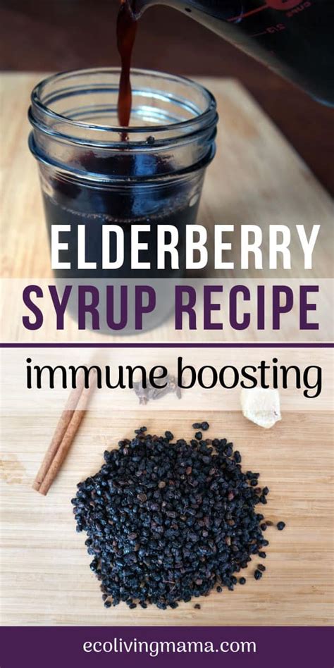 Super Simple Elderberry Syrup Recipe | Eco Living Mama