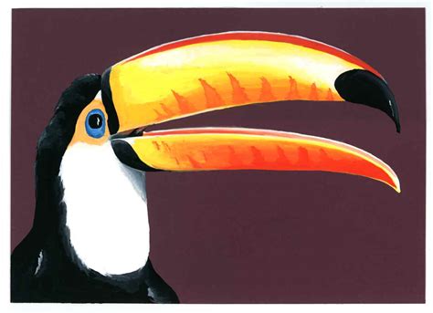 The Toucan - Henry Fraser Art