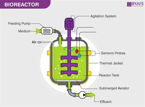 Bioreactor - An Overview, Process and its Applications