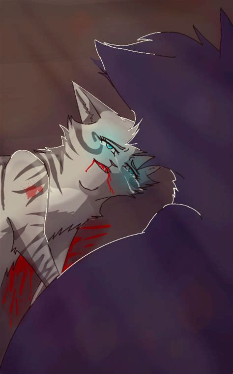 Feathertail's death by Moon-Flower2 on DeviantArt