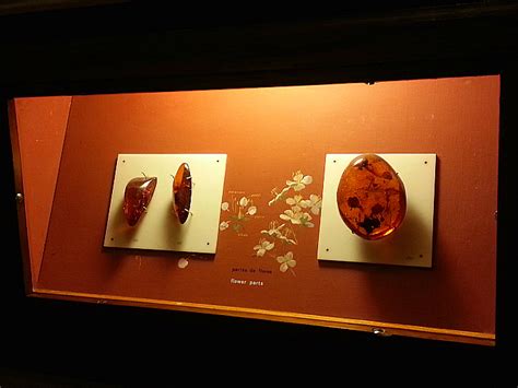 Amber Museum in Puerto Plata - Valerie Was Here