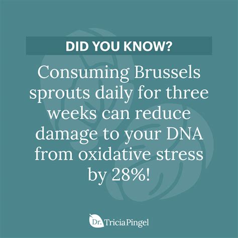 5 Brussels Sprouts Benefits - Dr. Pingel