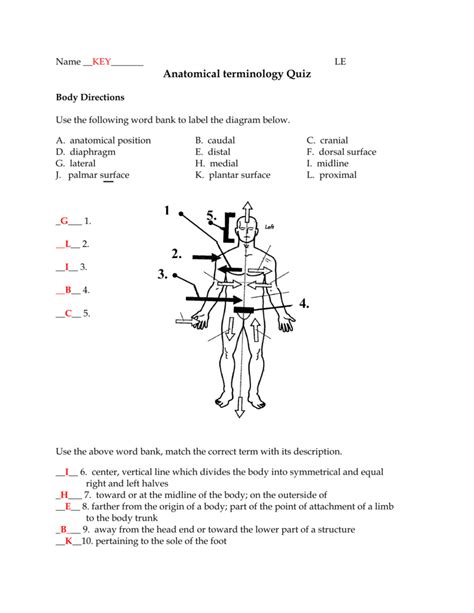 Anatomical terminology Quiz