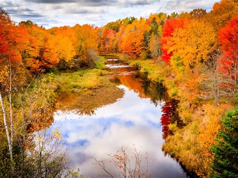 8 Best Places in Canada for Fall Color – Trips To Discover