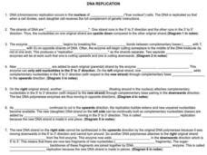 Dna Replication Steps Worksheet