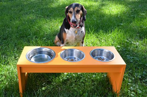 funnelcloud: DIY dog feeder