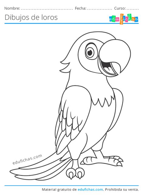 Dibujos de Loros para Colorear GRATIS. Descargar ahora en PDF