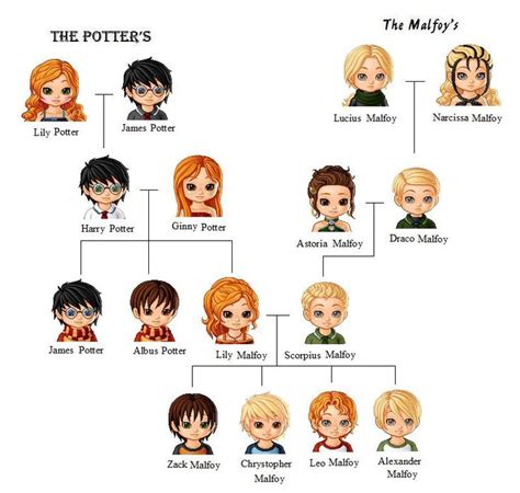 I am not totally against this | Harry potter hermione, Harry potter spells, Harry potter family tree