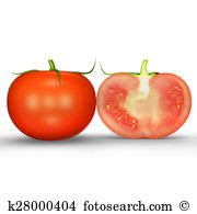 Solanum lycopersicum clipart 20 free Cliparts | Download images on Clipground 2024