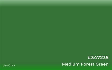 Medium Forest Green Color | ArtyClick