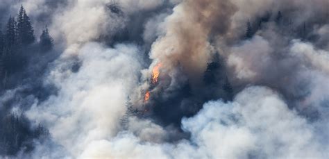 Wildfire Smoke Protection & Compliance Game Plan – OHS Insider