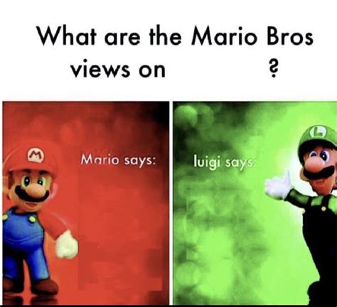 Asking Mario bros very opinion, Mario is logical, Luigi is funny/ dank : r/MemeTemplatesOfficial