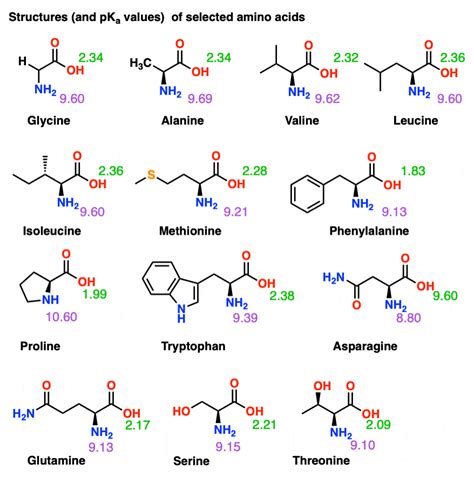 Periodic Amino Acids Chart The Best Porn Website - vrogue.co