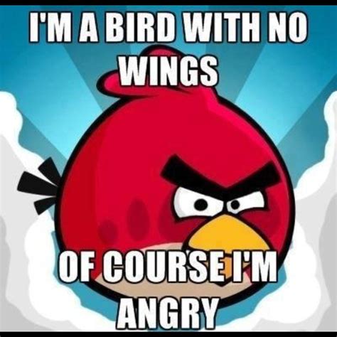 If I was a bird with no wings I would be angry too! | Funny memes, Bones funny, Funny pictures