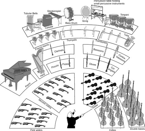 Activity 1, The orchestra, By OpenStax | Jobilize