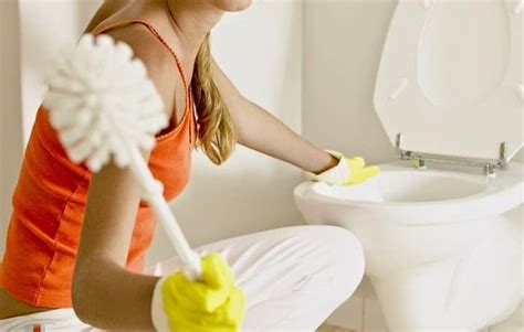 How To Clean Toilet Tank Mold? | Toilet tank cleaner - Beezzly