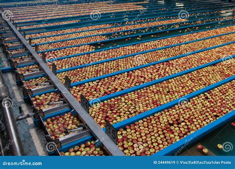 Apple production stock image. Image of factory, apples - 24449619