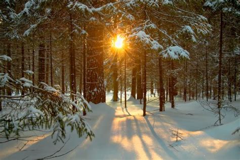 The Winter Solstice - why it's the true new year