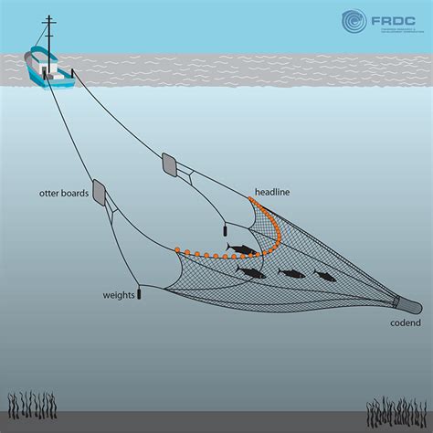 Small Boat Shrimp Trawl Net