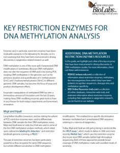 DNA Methylation Enzymes