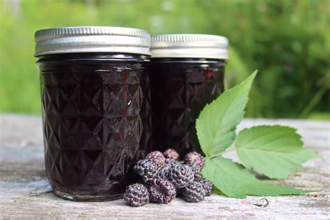 Black Raspberry Jelly (Seedless) - Creative Canning