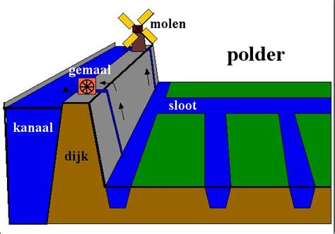 Social Systems / Loes: Polder model