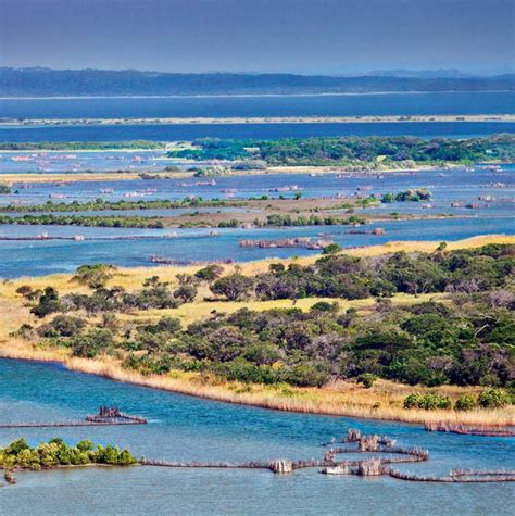 The traditional Thongan fish traps of Kosi Bay have been used for more ...