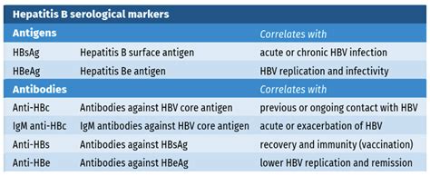 Serology Education - Hepatitis B virus