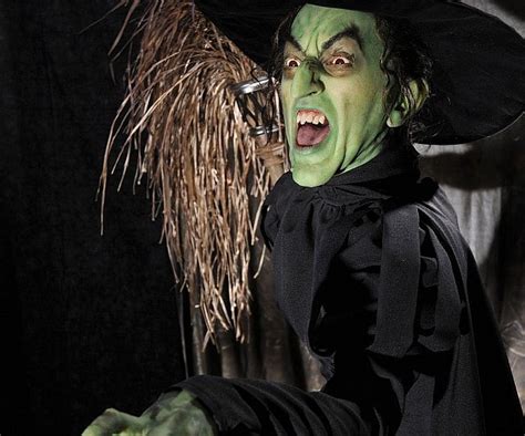 Wicked Witch Of The West Costume