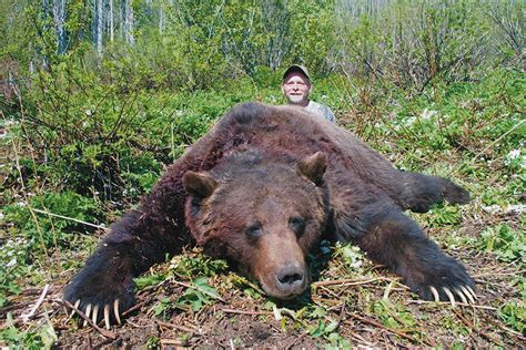 Grizzly Bear Hunting | Hunting in BC Canada with McGregor River Outfitters