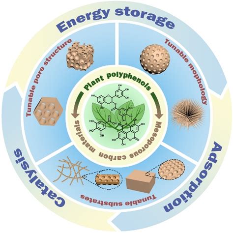 Synthesis of mesoporous carbon materials from renewable plant polyphenols for environmental and ...