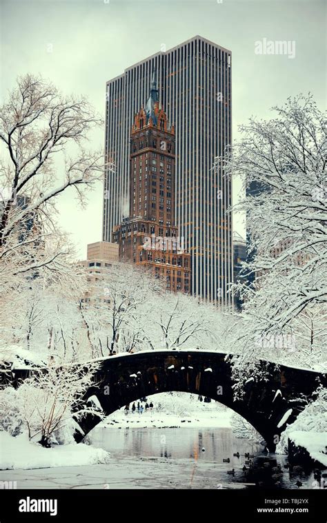 Central Park winter with skyscrapers and bridge in midtown Manhattan ...