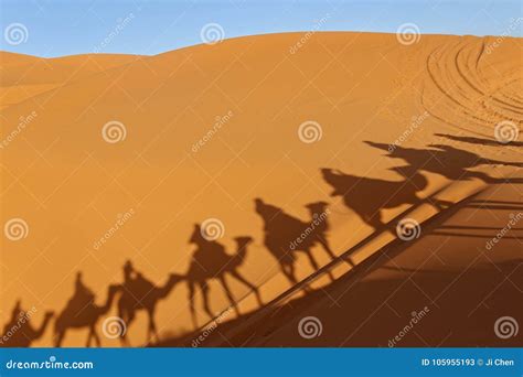 Camel Shadow on Sand in Desert Stock Image - Image of camel, quarter: 105955193